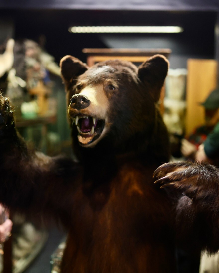 Curiosities After Dark: Hidden Horrors Tour